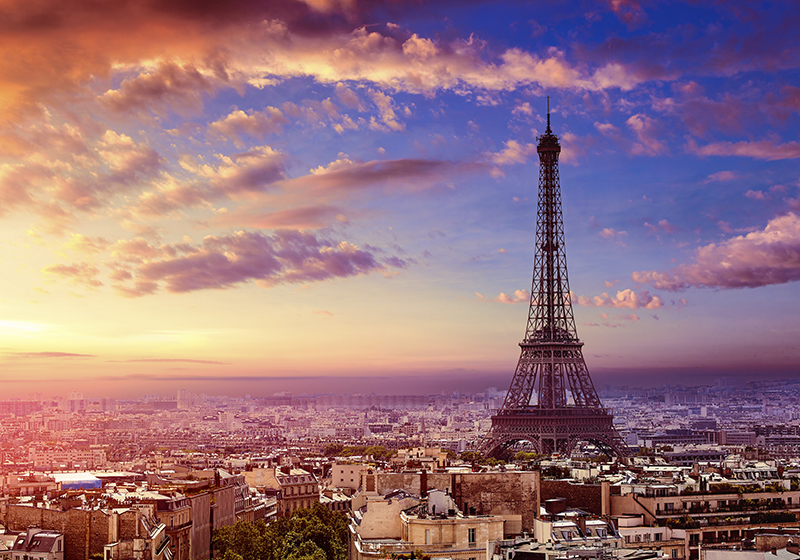 Purple vinyl rug with parisian skyline design - TenStickers