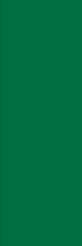 Green vinyl rug in verdant hue - TenStickers