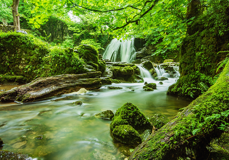 Green vinyl rug serene waterfall design - TenStickers
