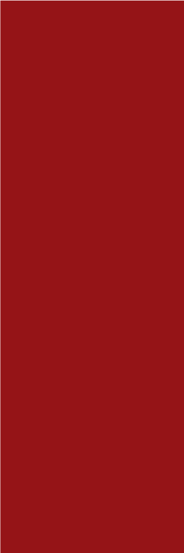 Red vinyl rug in vibrant crimson hue - TenStickers