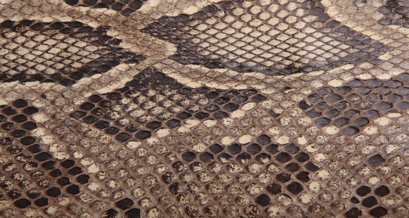 Snakeskin animal print vinyl rug - TenStickers