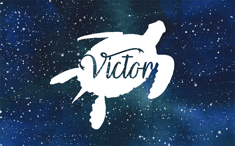 Turtle in the galaxy with name animal vinyl rug - TenStickers