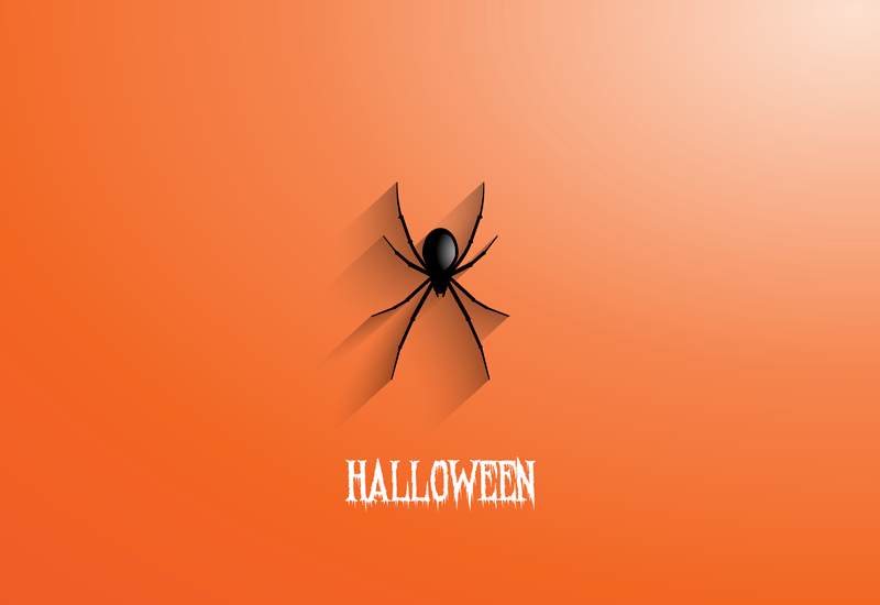 Halloween vinyl rug spider design - TenStickers