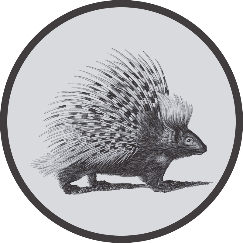 Porcupine Illustration animal vinyl rug - TenStickers