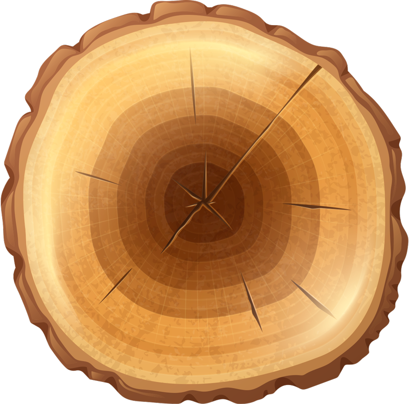 Round tree wood vinyl carpet - TenStickers