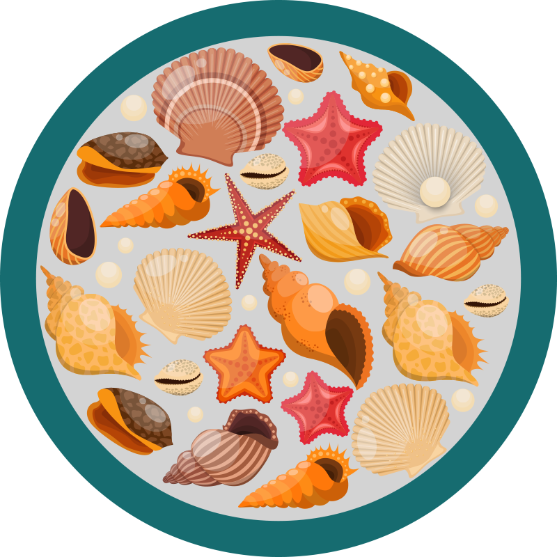 Shells on a beach nature rug - TenStickers