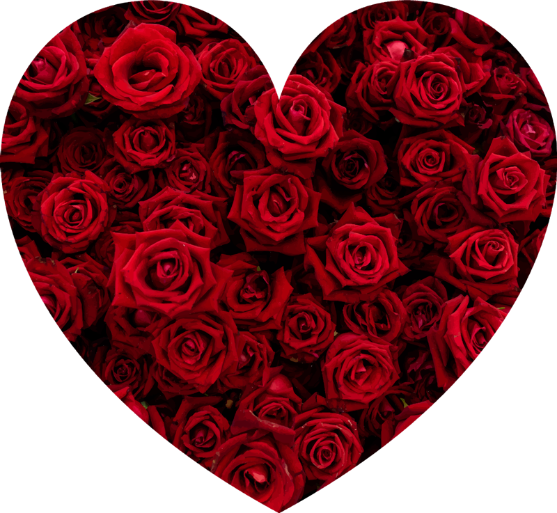 Heart filled with Roses floral vinyl rug - TenStickers