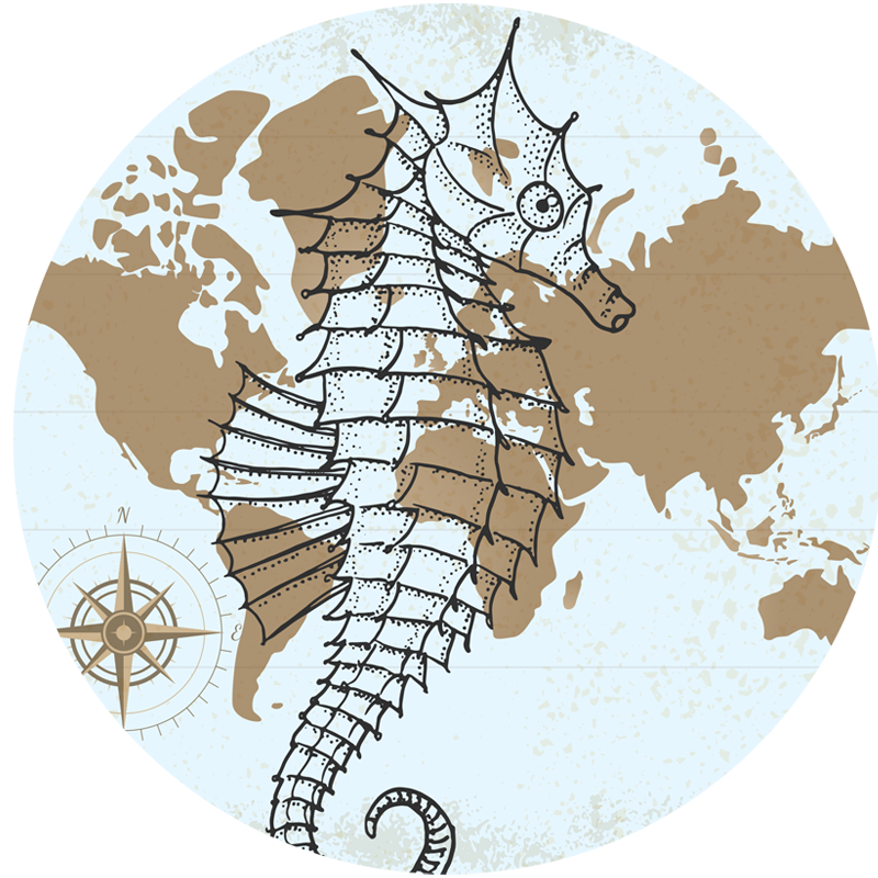 Seahorse map animal vinyl rug - TenStickers