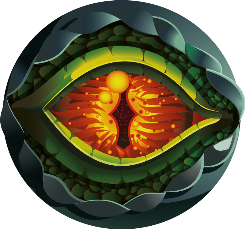 dinosaur eye natural design  animal rug - TenStickers