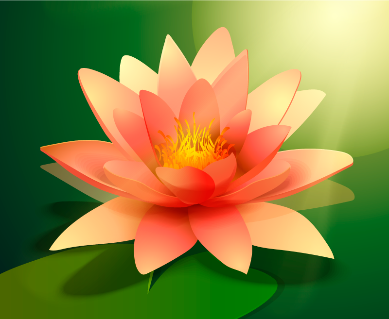 Blooming Lotus flower vinyl rug - TenStickers