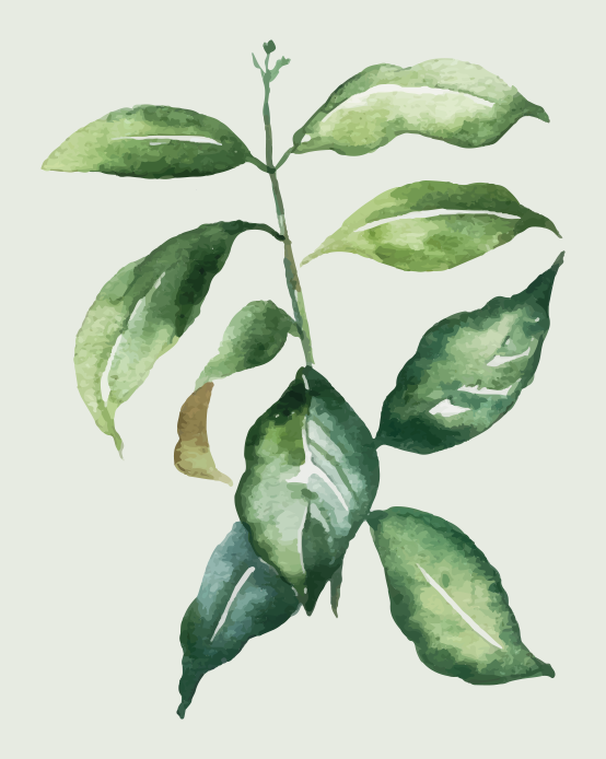 Botanical Leaf Illustration flower vinyl rug - TenStickers