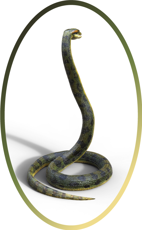 Realistic Snake animal rug - TenStickers