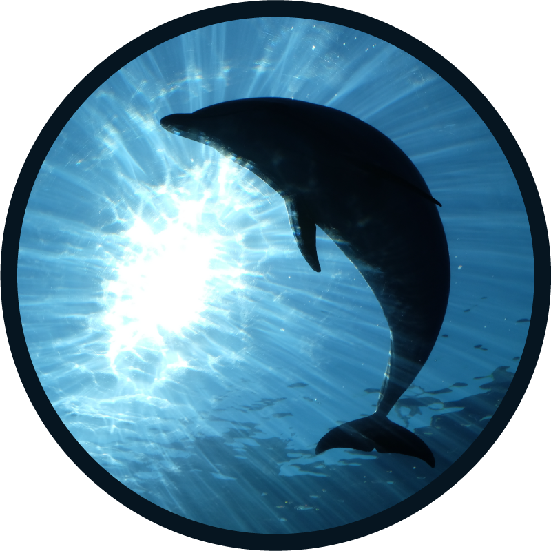 Dolphin silhouette animal rug - TenStickers