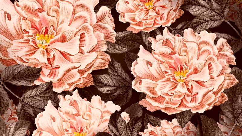 Peony dark background floral rug - TenStickers