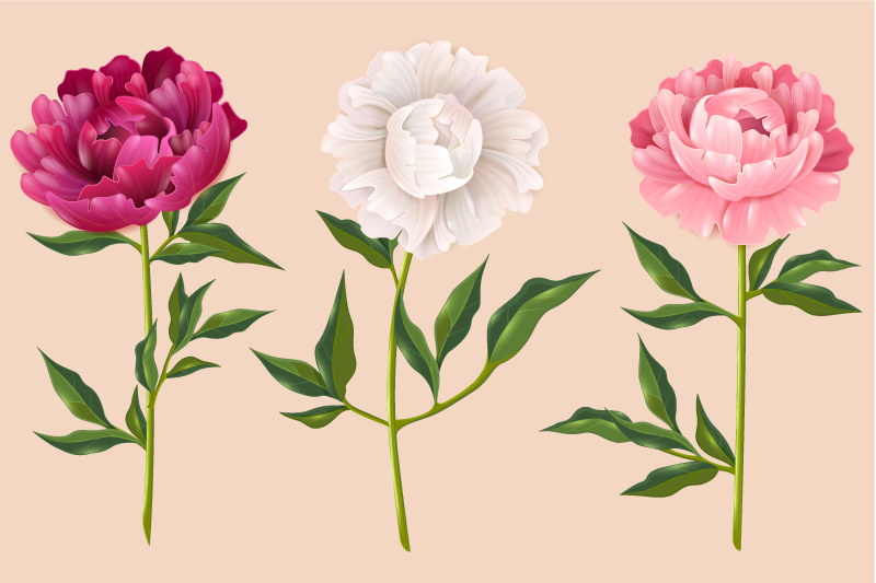 Elegant trio arrangement bathroom vinyl rug - TenStickers