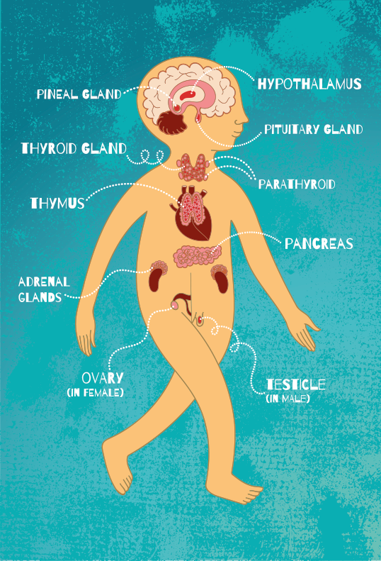 Classic operation game vintage rug - TenStickers