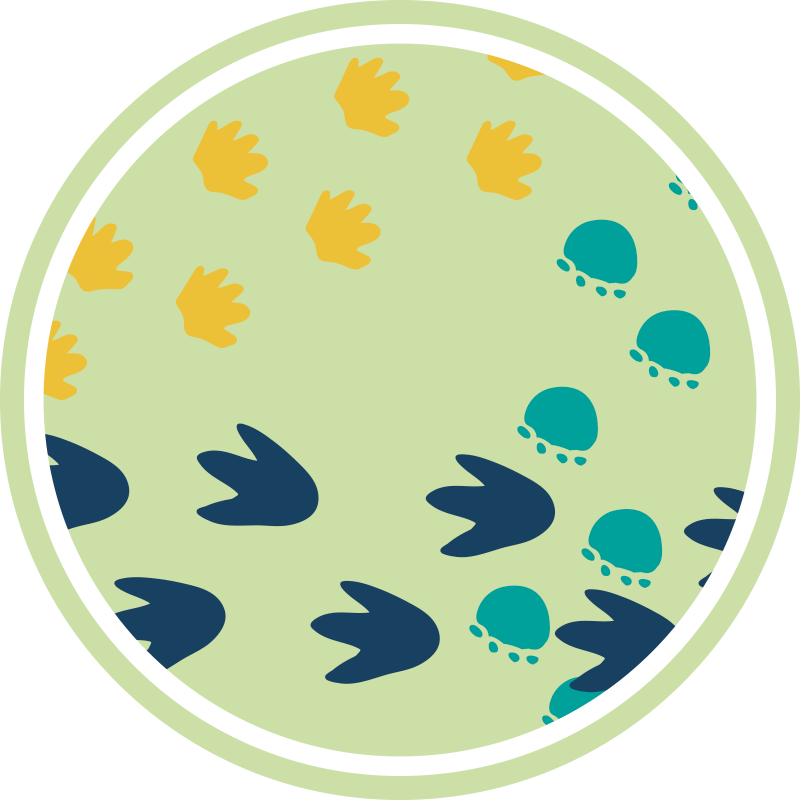 Dinosaurs footprints baby play mat - TenStickers