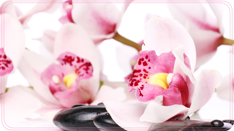 Elegant orchid design flower vinyl rug - TenStickers