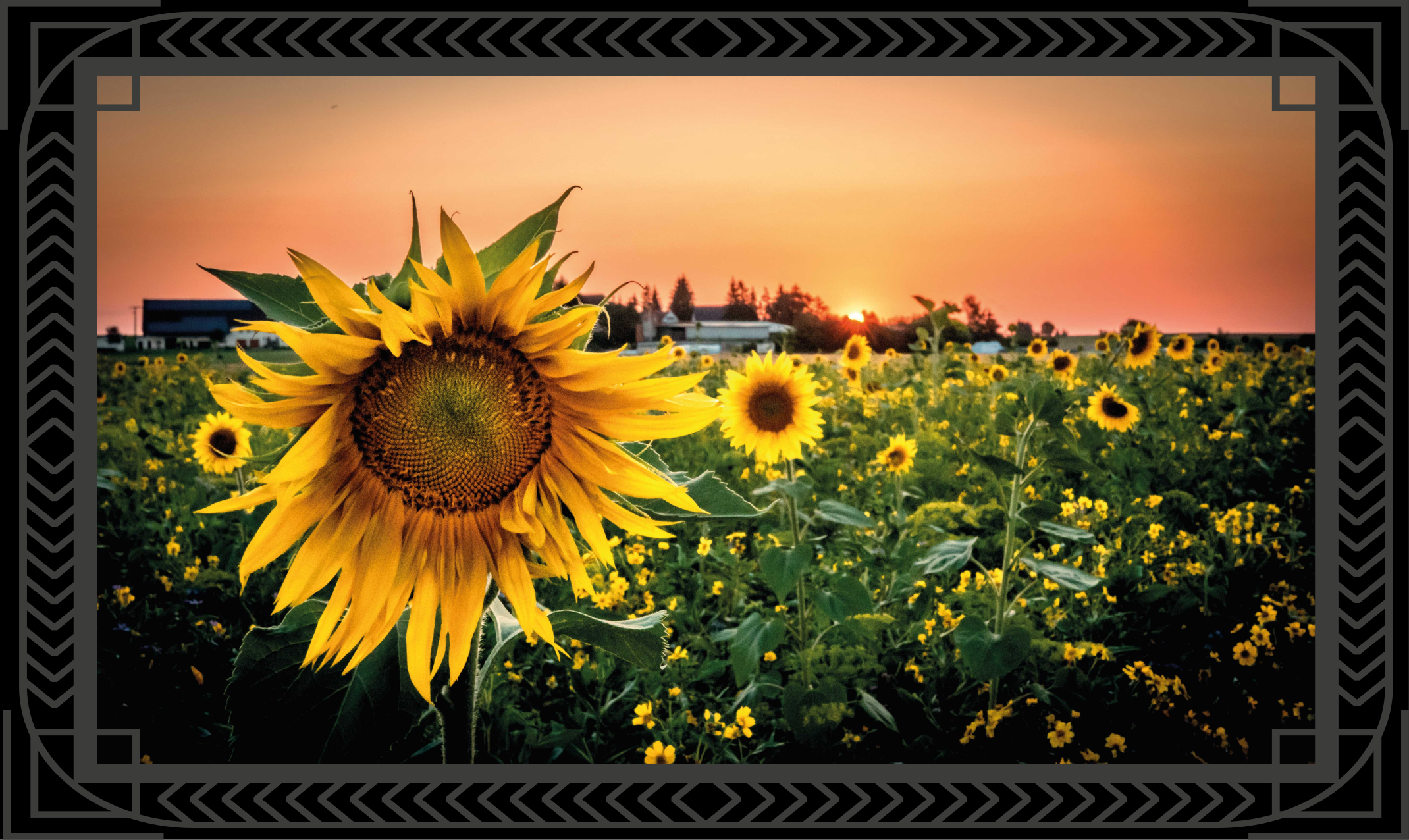 Sunflower sunset flower vinyl rug - TenStickers