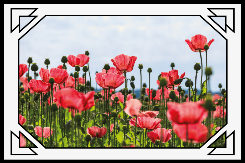 Colorful poppy field flower vinyl rug - TenStickers
