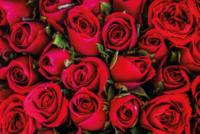 Rose bouquet flower vinyl rug - TenStickers