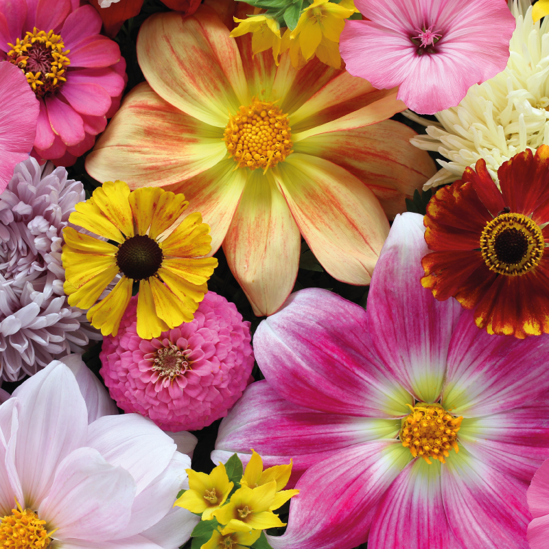 Beautiful realistic arrangement flower vinyl rug - TenStickers