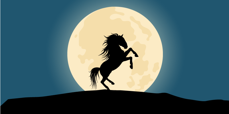 Horse silhouette moon behind modern rug - TenStickers