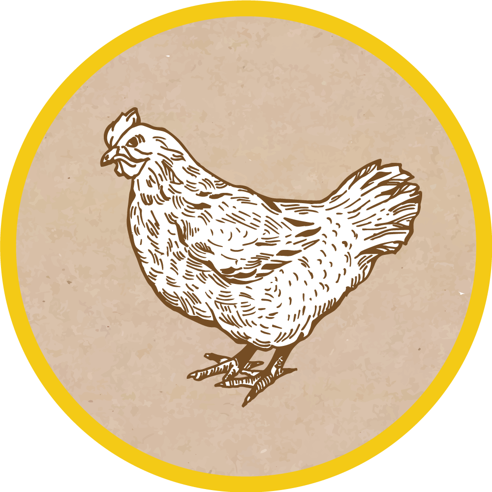CHICKEN ILLUSTRATION animal vinyl rug - TenStickers