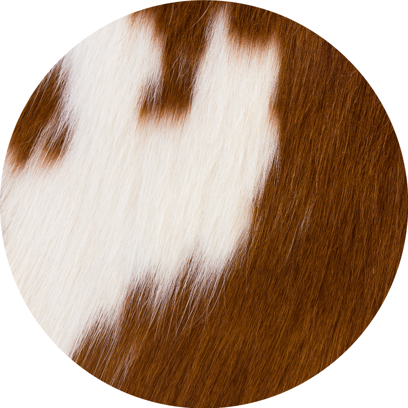 Animal print vinyl rug cowhide design - TenStickers