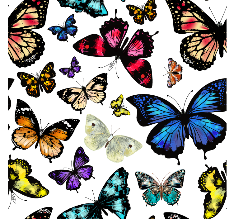 Beautiful and colorful butterflies wallpaper - TenStickers