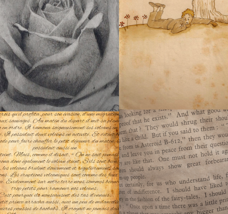 Little Prince collage letter wallpaper - TenStickers