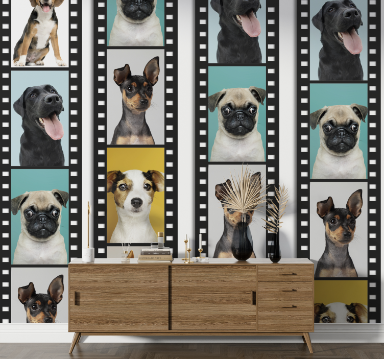 Canine Filmstrip dogs wallpaper - TenStickers