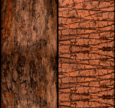 Time Craved in the Tree Vintage Wallpaper - TenStickers